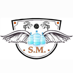 STEAGUA MINERAL
