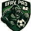 E.F.R.V. PRO